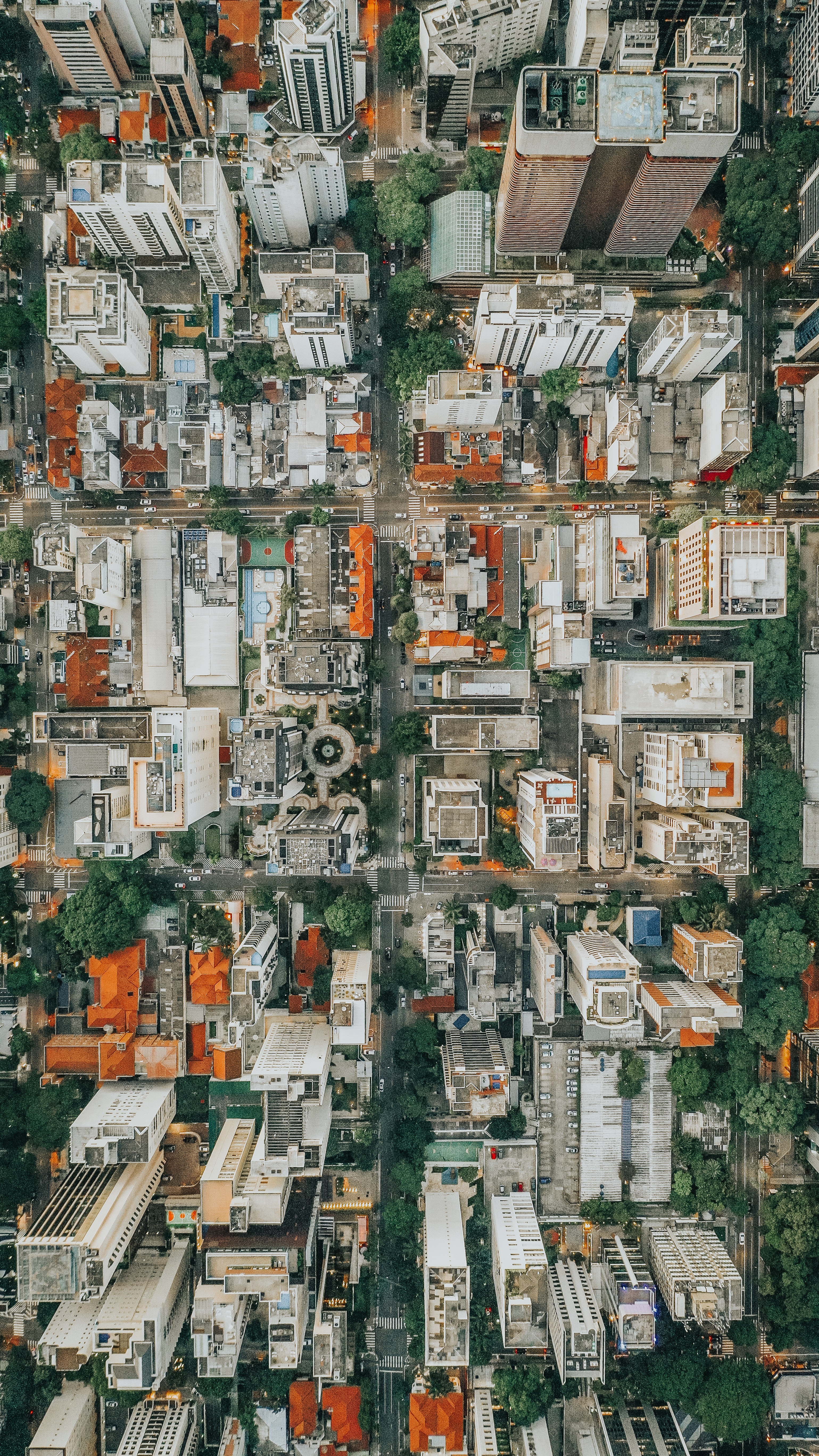 pexels-sergio-souza-3582177.jpg